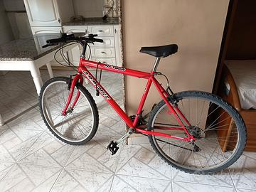 Mountain Bike Modello A.R.P bike Hi-tech sports