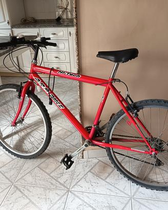 Mountain Bike Modello A.R.P bike Hi-tech sports