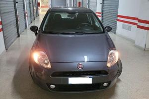 Fiat Punto 1.2 8V 5 porte Street – Neo Patentati