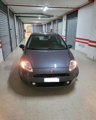 Fiat Punto 1.2 8V 5 porte Street – Neo Patentati