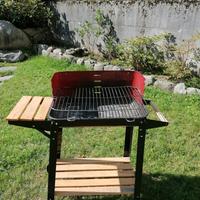 Barbecue a carbonella