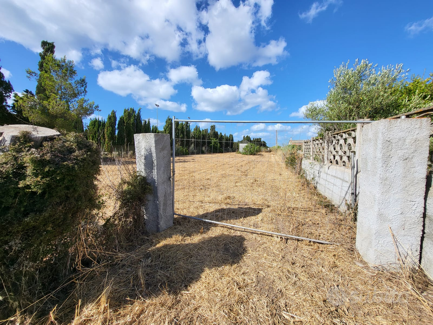 Terreno con casetta 11 mq² accatastata e pozzo - Vista 3