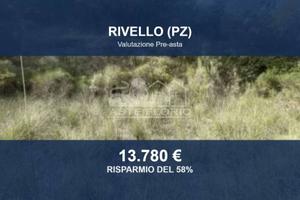Immobile in asta di 2513 m² a Rivello