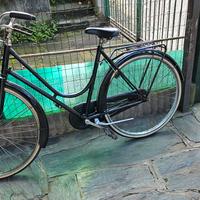 bicicletta da donna bacchetta