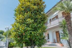 Villa singola con giardino, Ponte Sasso Rif.M/2078