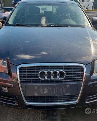 Ricambi Audi A3 8P 2007 2.0 TDI BKD