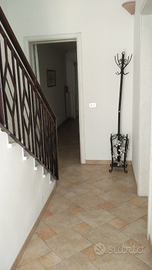 Singola Rudiae universitari