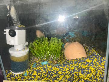 Acquario completo