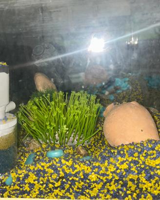 Acquario completo
