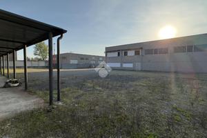 CAPANNONE A CARBONARA SCRIVIA