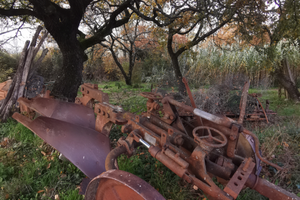 Aratro nardi bivomere