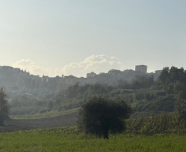 Casale con terreno- Sant' Elpidio a Mare