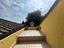 Immagine 12