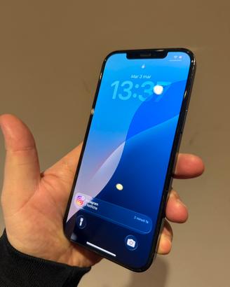 Iphone 12 pro max 256gb batteria 100%