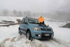 Fiat panda 2 serie 