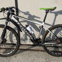 MTB carbonio.