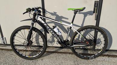 MTB carbonio.