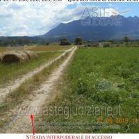 Terreno Agricolo Altavilla Silentina [A4347611]