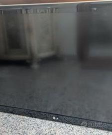 TV LG schermo grande 47 pollici mod. 47LD680-ZC