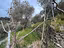 Immagine 15