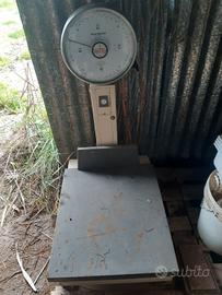 bilancia  vetta macchi 