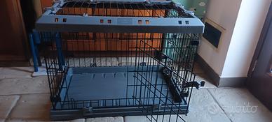 kennel 