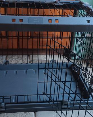 kennel 