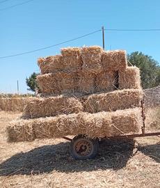 Ballette di fieno