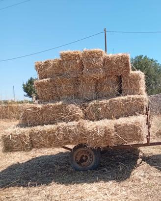 Ballette di fieno
