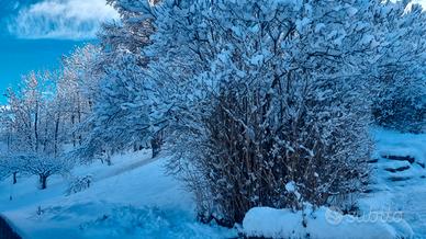 Appartamento mansardato