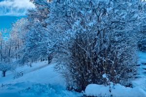 Appartamento mansardato