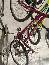 Mountain Bike Falco Unica 26" - Da revisionare