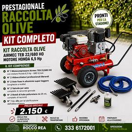 KIT RACCOLTA OLIVE TEB 22/680 HONDA