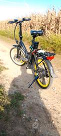 bici elettrica 
