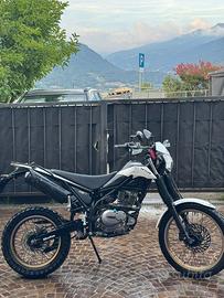 Beta alp 200