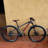Bottecchia Gavia 29