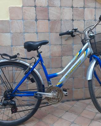 biciclette da donna