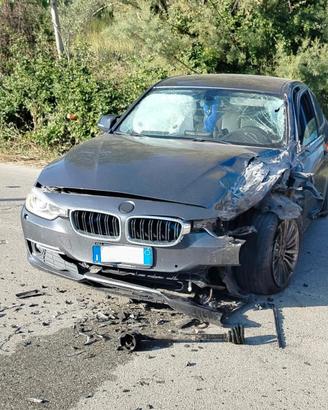 Pezzi di ricambio BMW Serie 3 F30 Luxury 320d