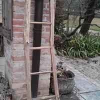 scala in castagno 170 cm