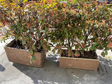 n. 4 Fioriere in pietra