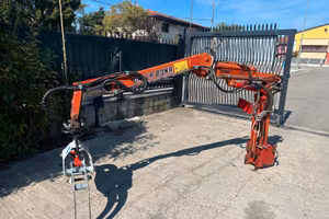 A161 BRACCIO CON PINZA FORESTALE - GRU