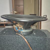 sub-woofer coral electronic