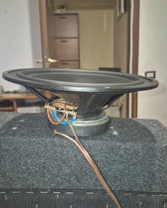 sub-woofer coral electronic