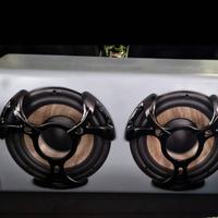 Subwoofer  Focal P 25 FE Subwoofer 25cm