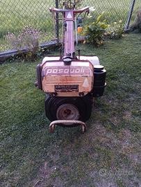 Motocoltivatore Pasquali 917