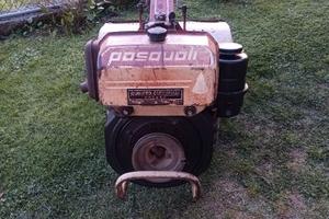 Motocoltivatore Pasquali 917