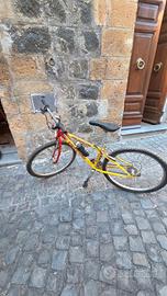 bici taglia 24