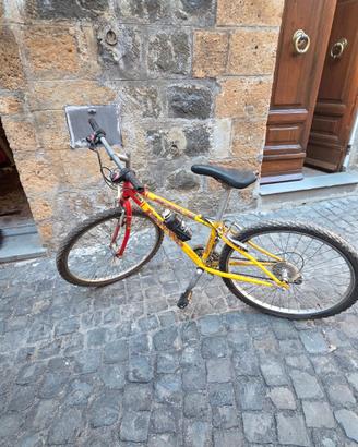 bici taglia 24