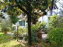 porzione-di-casa-a-luni