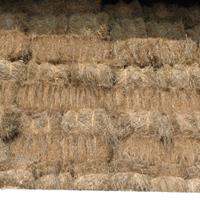 Ballette di Fieno per Animali o Eventi